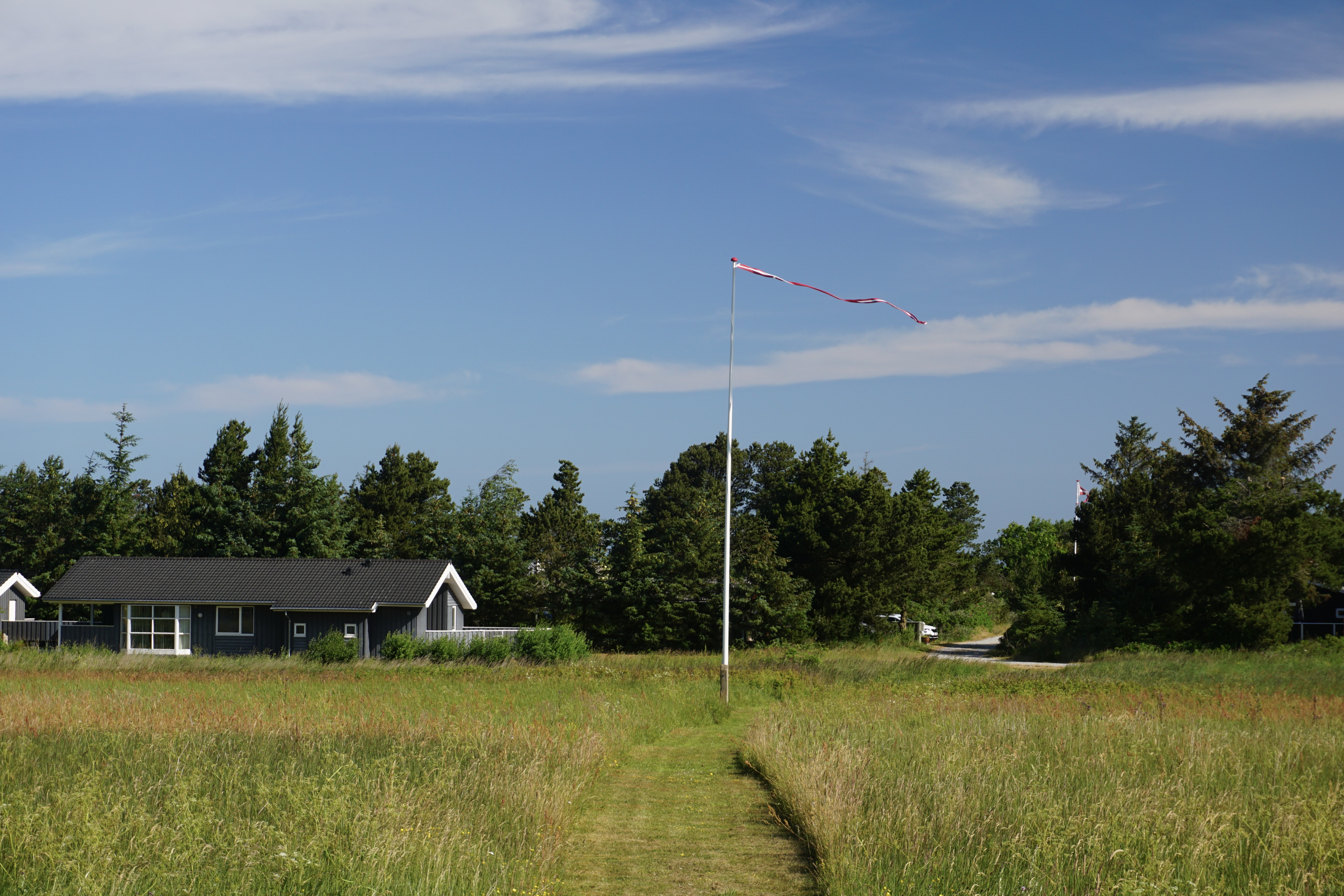 Sommerhus foran skov