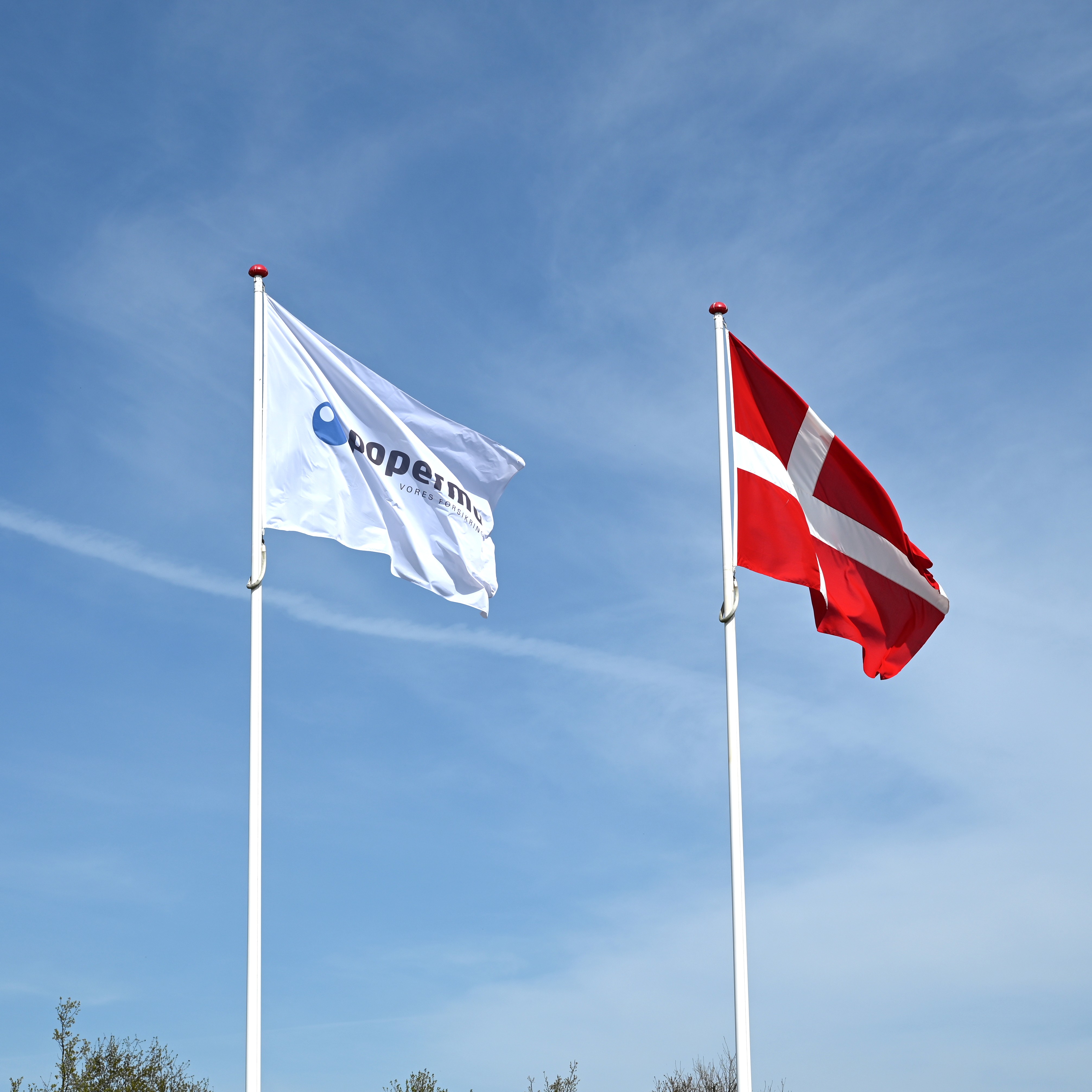 Popermos flag og dannebrog med blå himmel