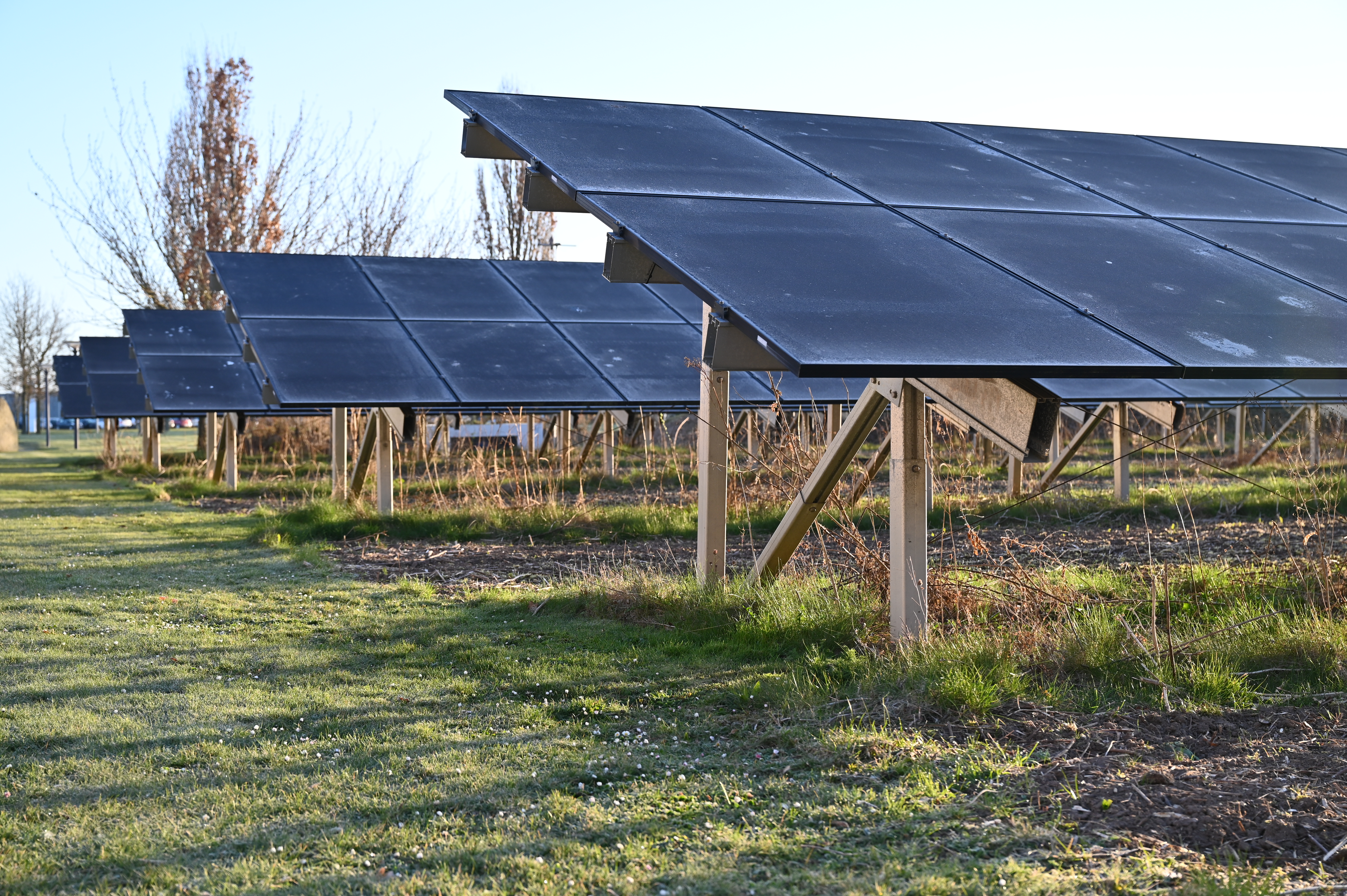 Solceller i rimfrost