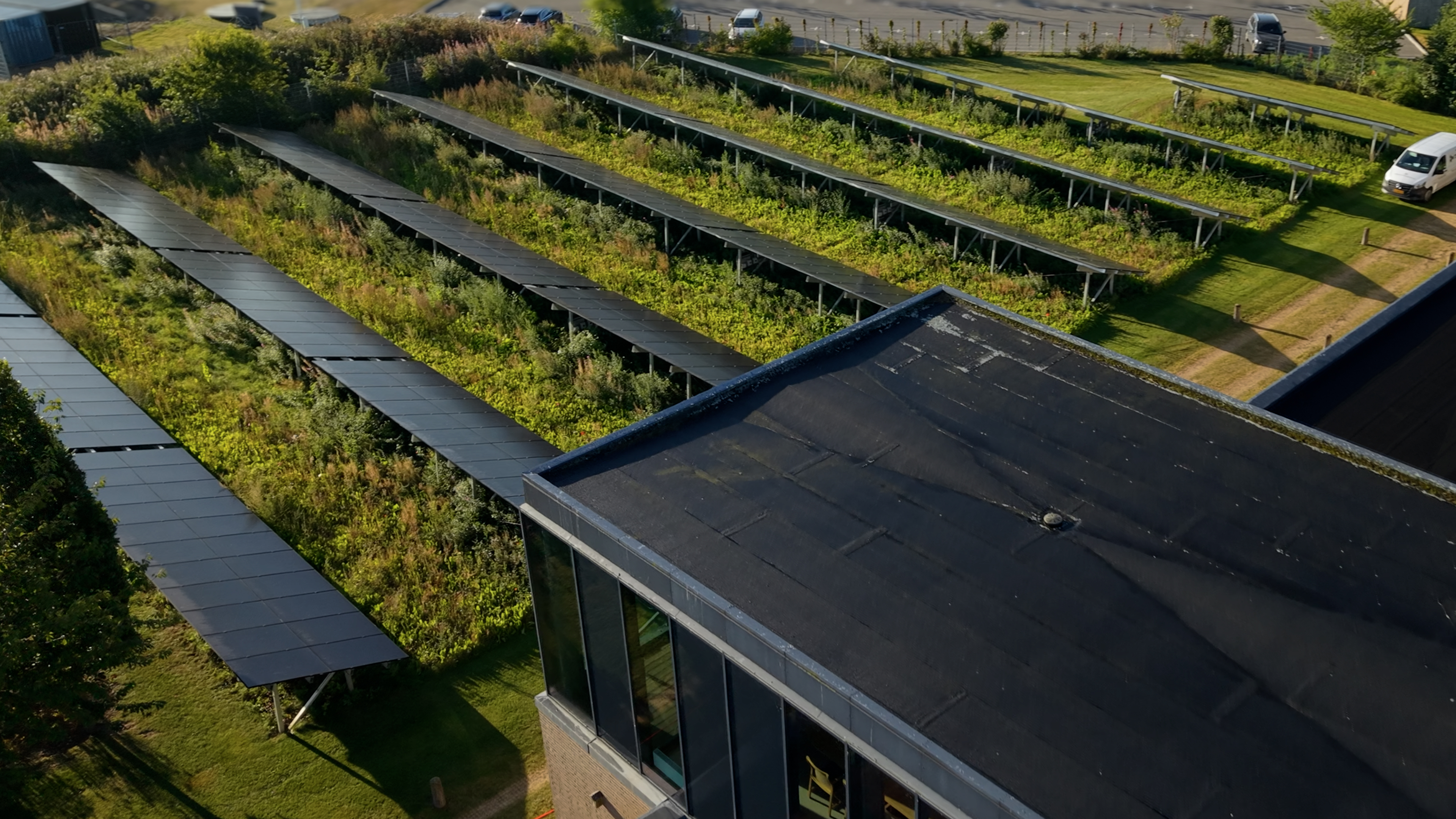 Popermos solceller og vilde blomster oppefra